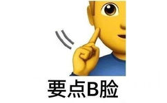 要点 B 脸