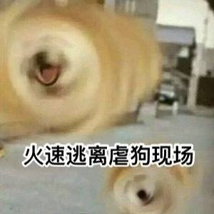 火速逃离虐狗现场 - 一组柴犬doge微信表情