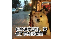 你总说要日狗，我信了你却没有来 - 汪星人中最可耐的还是doge