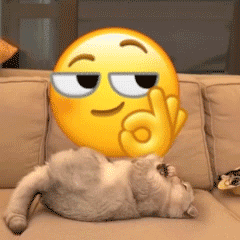 猫咪盘小黄脸 OK emoji - 万物皆可盘猫咪动态表情包