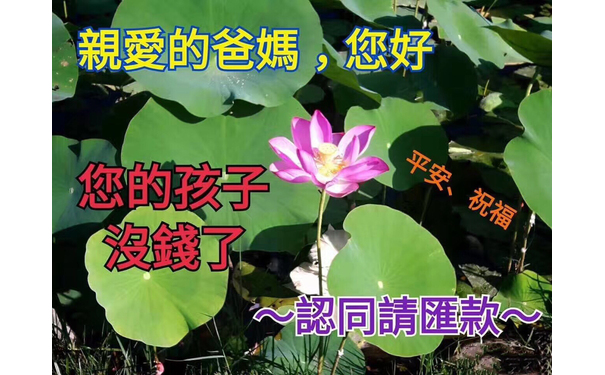 亲爱的爸妈，您好：您的孩子没钱了，认同请汇款。祝平安！（中老年表情包） - 热门表情包精选