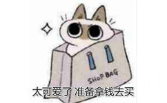 SHOP BAG 太可爱了准备拿钱去买 - 暹罗猫表情包