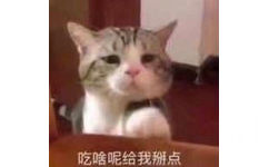 吃啥呢给我掰点(猫咪表情包)