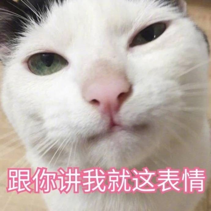 跟你讲我就这表情(猫咪)