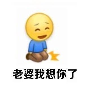 老婆我想你了 - 妻奴必备表情包 ​