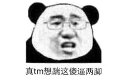 真tm想踹这傻逼两脚(熊猫头怼人表情包)