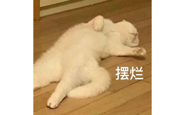 摆烂(猫猫表情包)