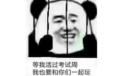 等我活过考试周我也要和你们一起玩