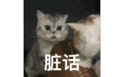 猫咪脏话表情包