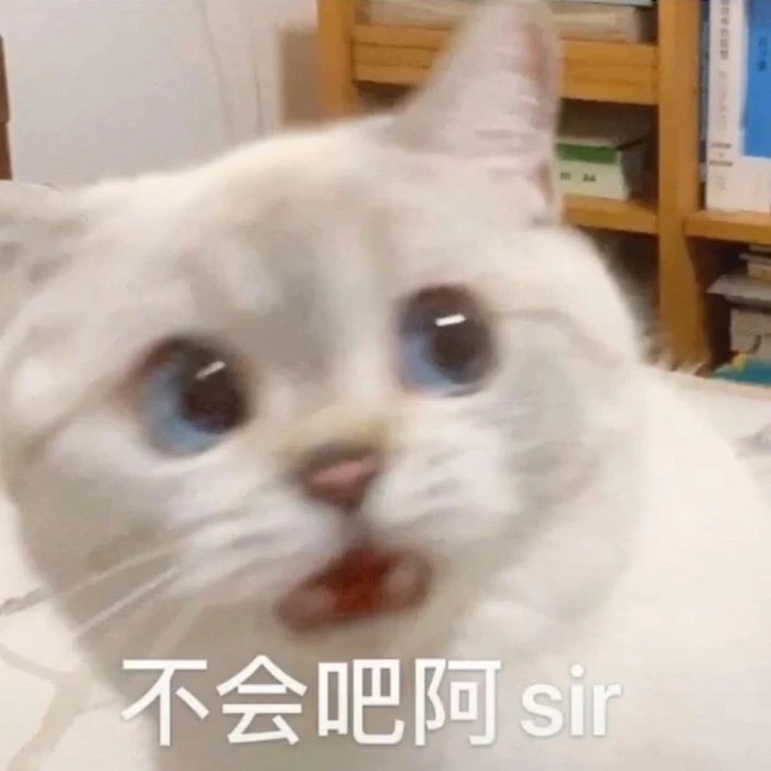 不是吧 阿sir 猫咪表情包