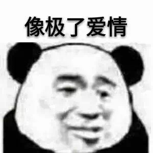 像极了爱情（熊猫头）