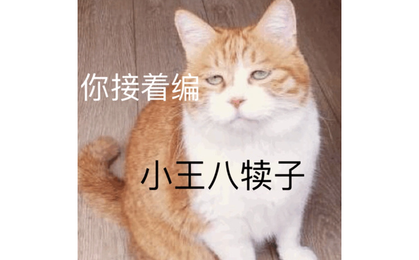 你接着编 小王八犊子 - 一组橘猫表情包