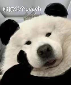 那你说个peach - 狗狗托腮表情包