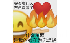 好像有什么东西烧着了什么东西是我的心在为你燃烧 - 土味表情包