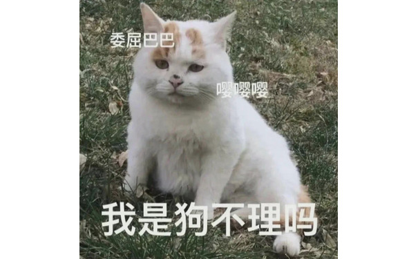 委屈巴巴嘤嘤嘤我是狗不理吗