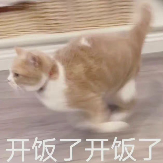 开饭了开饭了(猫猫表情包) - 猫猫狗狗表情包