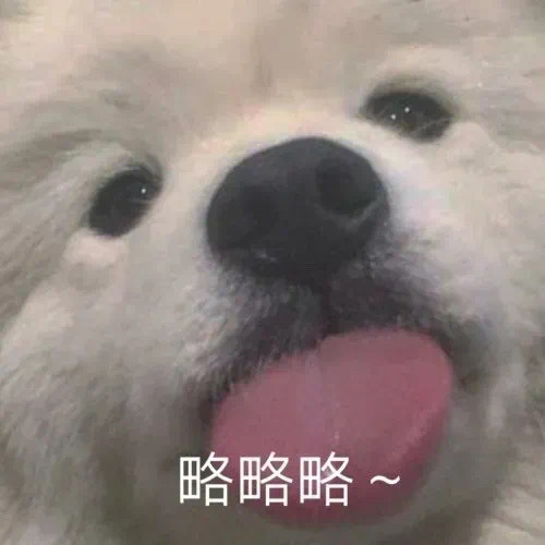 略略略~ - 狗狗略略略表情包