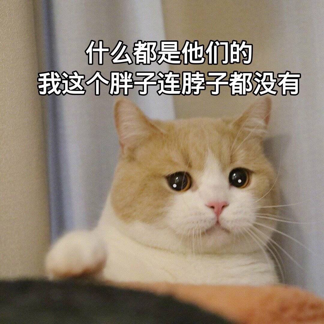 什么都是他们的，我这个胖子连脖子都没有（猫咪流泪）