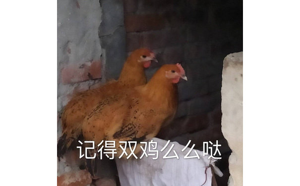 记得双鸡么么哒