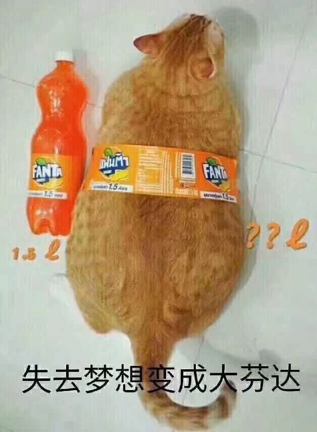 橘猫失去梦想变成大芬达