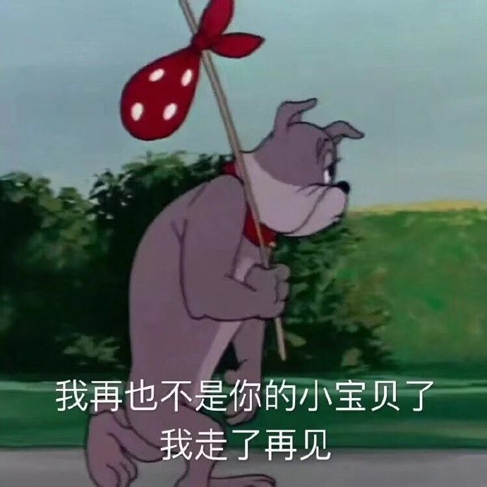 我再也不是你的小宝贝了，我走了再见