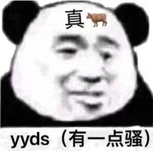 真yyds(有一点骚