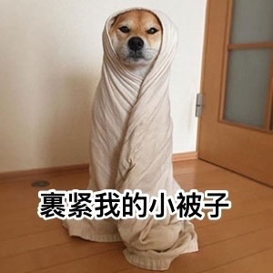 裹紧我的小被子 - 汪星人中最可耐的还是doge