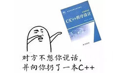 对方不想和你说话，并向你扔了一本C++ - 对方不想跟你说话，并向你扔了