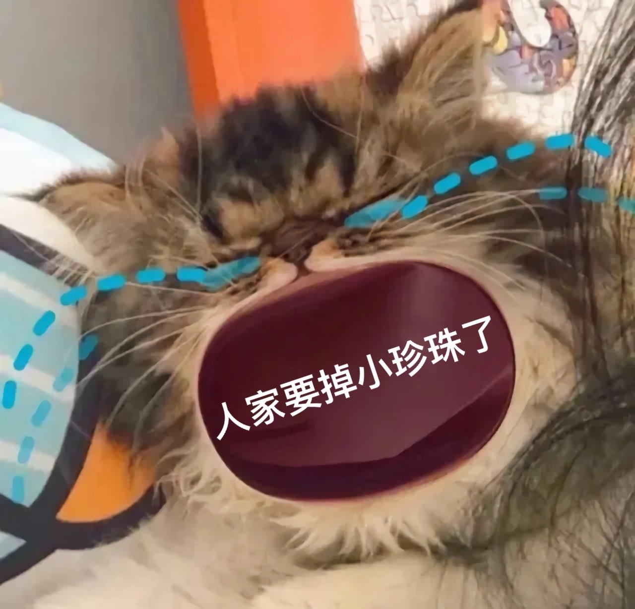 人家要掉小珍珠了 - 猫咪张大嘴哭大嘴猫表情包