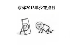 求你2018年少花点钱 - 2018你有什么愿望 ​