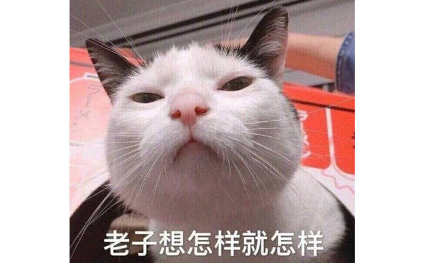 老子想怎样就怎样（猫咪）