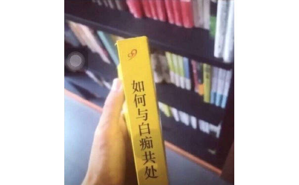 如何与白痴共处