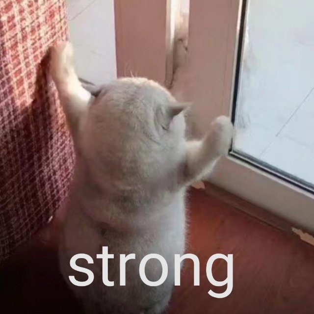 strong 强壮