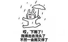 哎，下雨了！我得出去洗头了，不然一会雨又停了 - 双十二又要到了