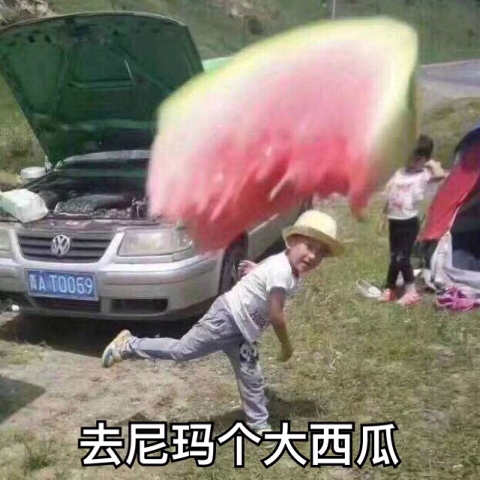 去尼玛个大西瓜