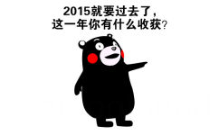 2015就要过去了，这一年你有什么收获？ - 熊本熊（2015你收获了什么？）