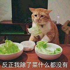 猫咪：反正我除了菜什么都没有