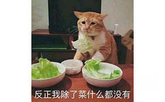 猫咪：反正我除了菜什么都没有