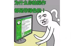 为什么你的操作都是带绿色的！ - 没人能模仿我的操作