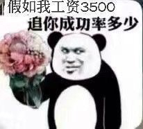 假如我工资3500 追你成功率多少