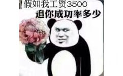 假如我工资3500 追你成功率多少