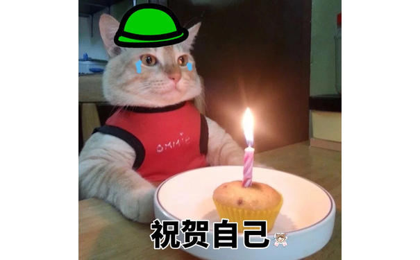 祝贺自己 - 猫咪独自过生日系列