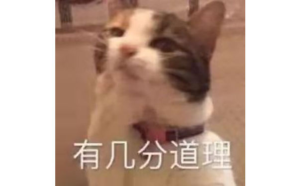 有几分道理(猫猫表情包)