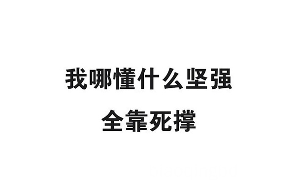 我哪懂什么坚强，全靠死撑 - 朋友圈背景图，脱单吧！ ​​​​