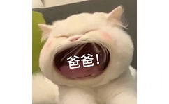 爸爸 - 大嘴猫猫咪表情包