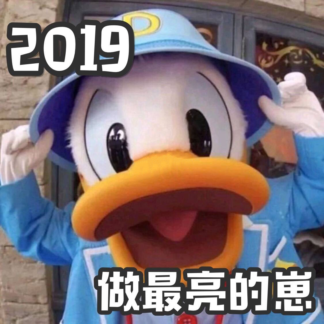 2019做最亮的崽 - 要像唐老鸭一样笑口常开鸭