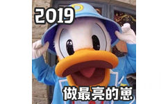 2019做最亮的崽 - 要像唐老鸭一样笑口常开鸭