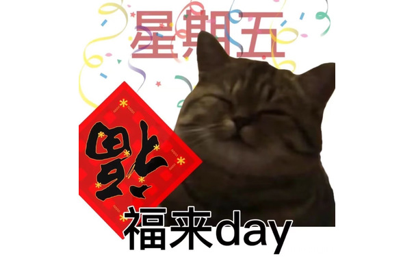 星五米*福来day