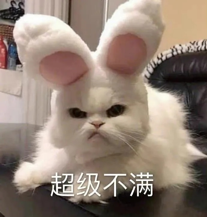 超级不满(猫咪表情包)