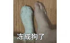 冻成狗了